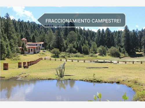 Imagen 3 de 11 de Terreno En Venta Espectacular Bosque Para Su Cabaña!