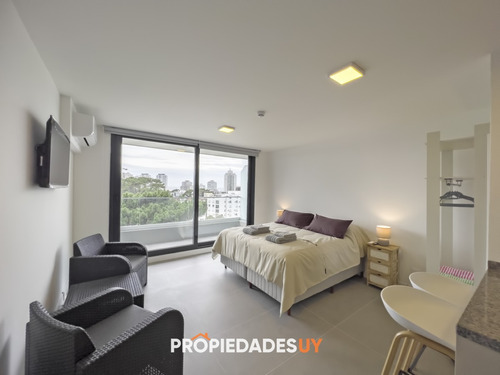 Edificio View - Apartamento En Alquiler En Punta Del Este, Monoambiente, 1 Baños