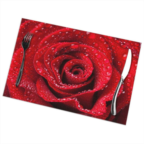 Delerain Beautiful Red Rose Juego De 6 Manteles Individuales