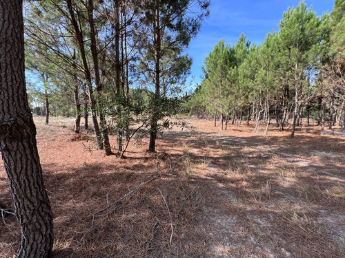 Imagen 4 de 12 de Venta Terreno Lomas De Solymar Canelones