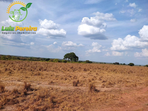 Imagem 1 de 12 de Fazenda À Venda Em Abreulândia - Pa - 1.427,8 Hectare (dupla Aptidão) - 2038