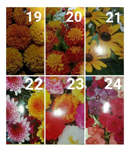 Imagen 4 de 10 de Sobres De Semillas Flores Varias