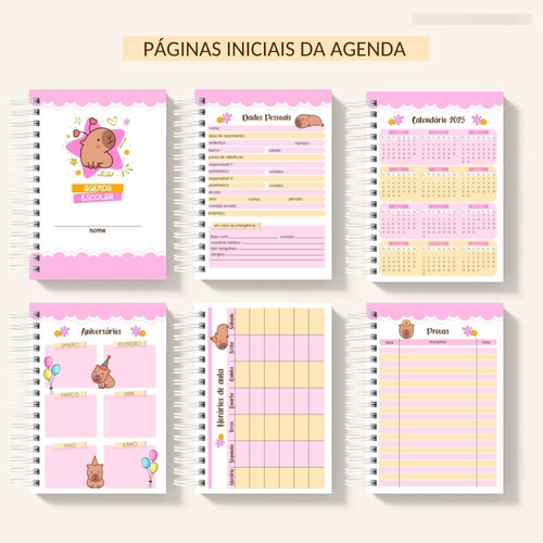 Kit Digital Volta Às Aulas - Capivara