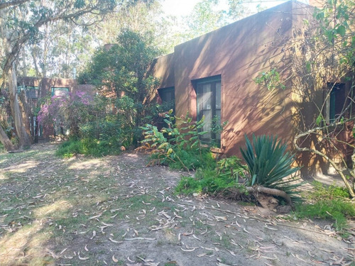 Chacra En Oportunidad Zona Jose Ignacio - Ref: 217418