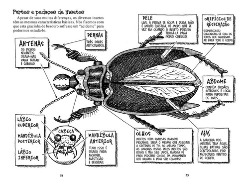 Imagem 5 de 5 de Bichos Nojentos - Saber Horrível