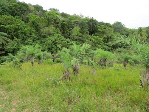 Imagem 15 de 15 de Fazenda Para Venda Em Mata De São João, Zona Rural, 3 Dormitórios, 1 Suíte, 2 Banheiros, 99 Vagas - 345_1-1401387