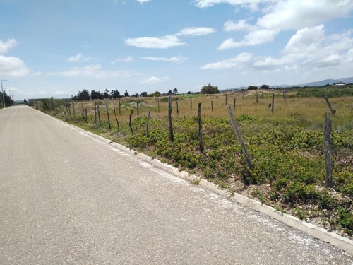 Imagen 4 de 8 de Terreno En Venta San Vicente Buena Vista