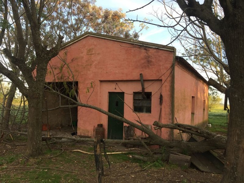 Imagen 21 de 23 de Campo En Venta En Lobos