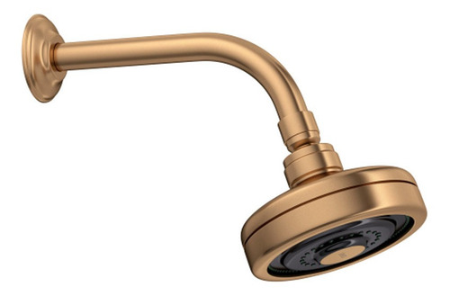 Brazo De Ducha Y Roseta Deca Acqua Plus Red Gold