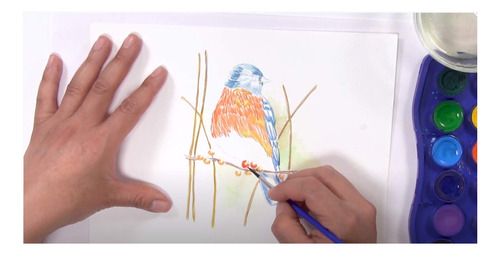 Acuarela Junior Pelikan 12 Colores Para Artista