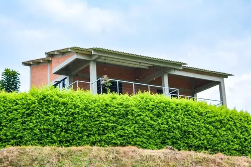 Casa Campestre En Arriendo Via Chinchina (279059917).