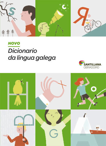 Novo Diccionario Da Lingua Galega (libro Original)