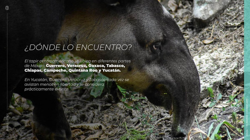 Terrenos En Venta Con Club De Playa En Celestún Yucatán