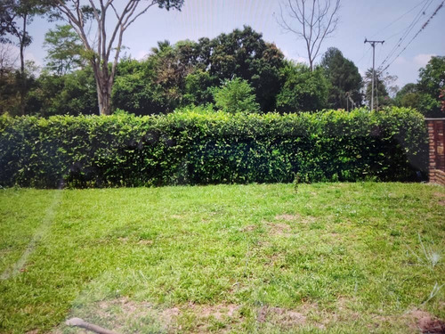 Imagen 9 de 10 de En Venta Hermosa Finca Via La Morita El Piñal