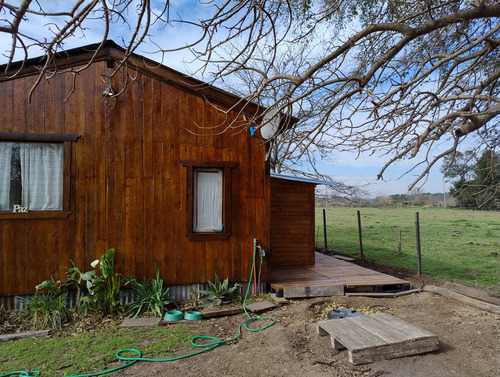 Cabaña Madera Pallets Valor M2