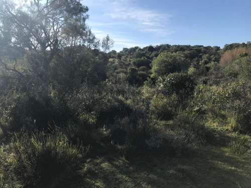 Muy Buen Campo Criador De 23.6 Has A 12 Km De Aigua, Abrigo, Agua,luz Enfrente