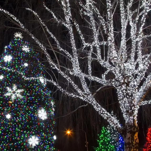 Justpro 100 Led De Navidad Led Con Alambre Verde, Luces De C