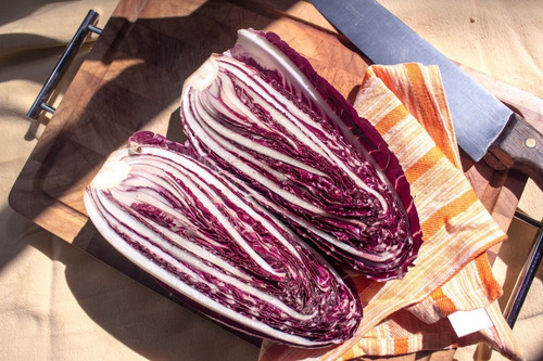 Chicória Vermelha De Piemonte Radicchio 100 Sementes