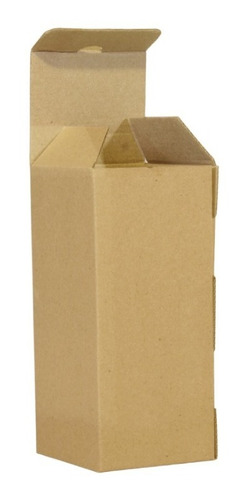100 Cajas 20x8x8 Cartónmicro Corrugado Armable Botella Chica