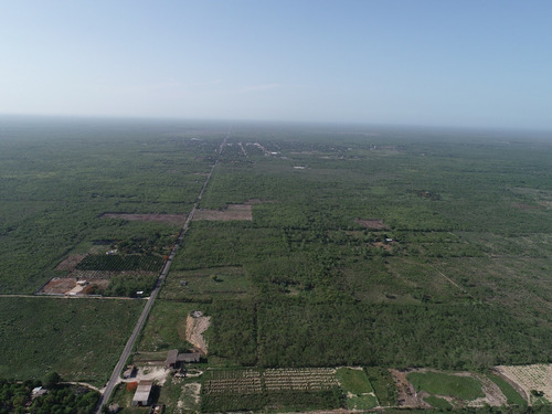 Imagen 13 de 13 de Xamantu Telchac Lotes Campestres Dic 2021