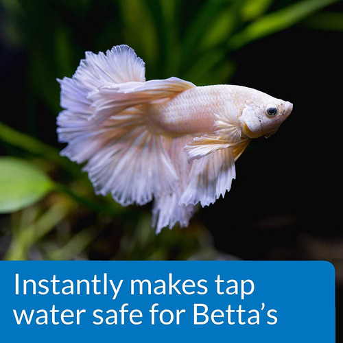 Api Betta Purificación Del Agua