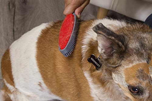 Furemover Duo, 2 Caras, Cepillo Múltiple Para Perros, Cepil