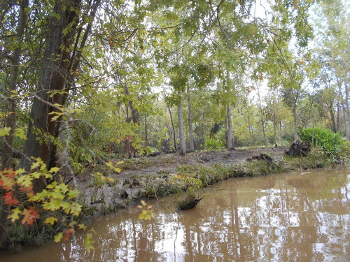 Imagen 2 de 9 de Terreno - Guayraca