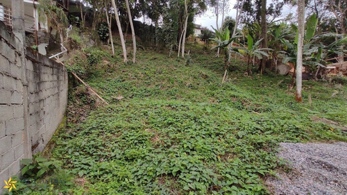 Imagem 14 de 18 de Terreno - Pq0119 - 70075542