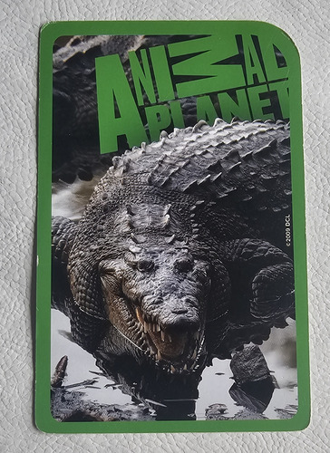 Cartas Didacticas Infantiles X 2 - Luminias Y Animal Planet