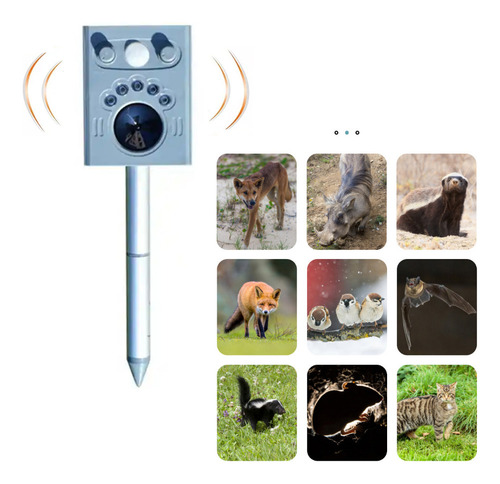 El Dispositivo De Sonido Asusta A Los Gatos, A Los Perros, P