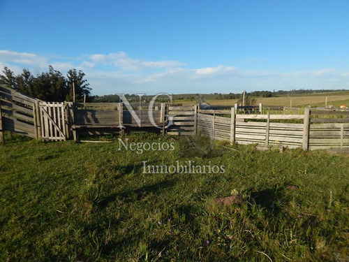 3 Hec. De Muy Buen Campo Con Contenedor Hecho Vivienda