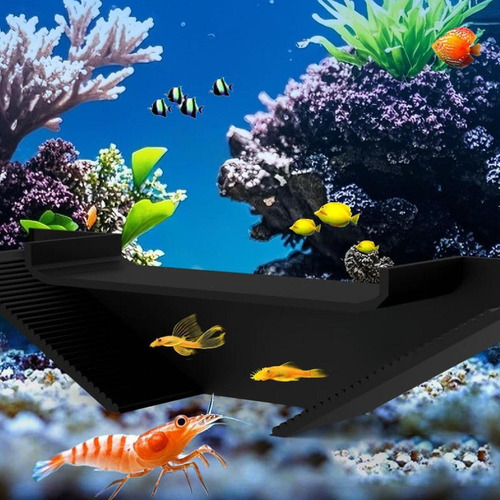 Túnel Subterráneo Del Acuario Túnel Túnel Negro S