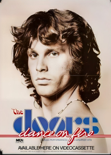 219# Cuadro 30x40 The Doors Vinilo Mdf Listo P/ Colgar