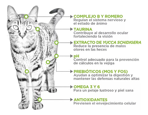 Nupec Felino Indoor 5 Kg + Wet Gato Urinary Lata De 100 Grs