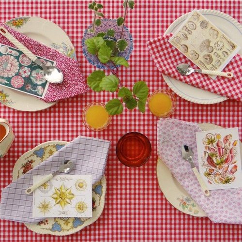 Imagen 2 de 6 de Mantel Picnic Cuadrillé Cuadros Rojo 1,5m X 1,0m Deco