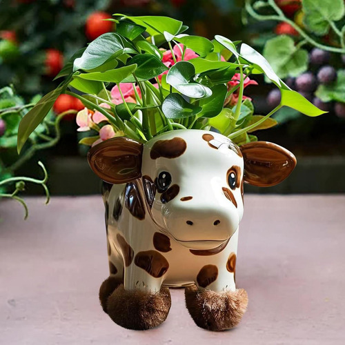 Maceta Linda Para Plantas De Vaca De Las Tierras Altas Macet