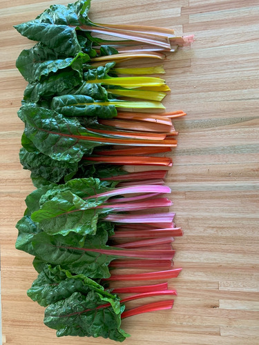 Semillas De Acelga Arcoiris (beta Vulgaris Var. Rainbow)