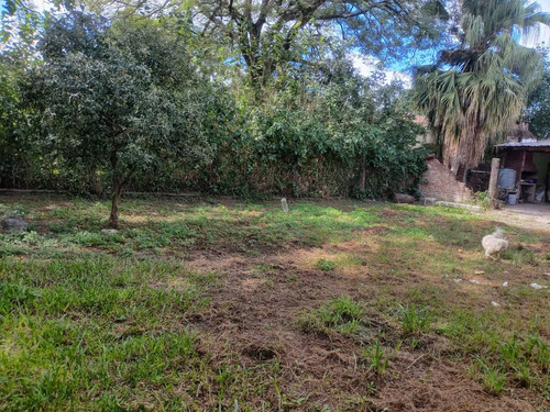 Vendo Terreno Barrio Los Pinos