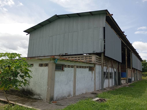 Cf Venta Complejo De Gases Cga Valencia