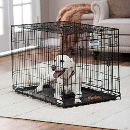 Caja Jaula De Perro Petmate Provalu Doble Puerta  42