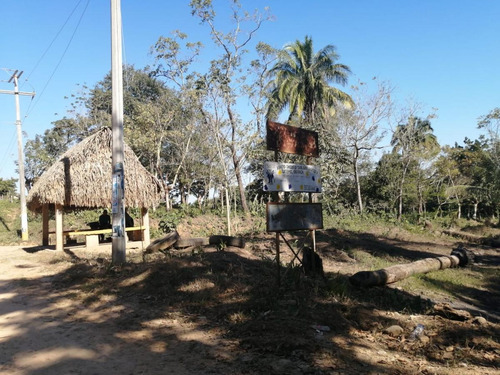 Imagen 3 de 8 de Terreno - San Juan Bautista Tuxtepec