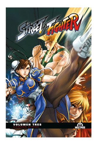 Street Fighter 3 - Adam Warren/arnold Tsang