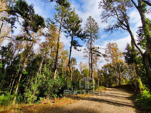Tu Refugio Ideal En La Naturaleza Del Sur De Chile