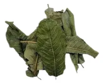 Comprar Guayaba En Hojas Secas 500 Gramos