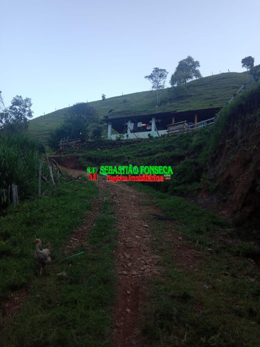 Imagem 6 de 15 de Belo Sítio Em Marmelópolis - Mg - 1247