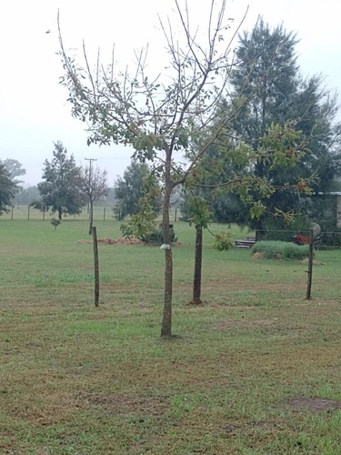 Terreno En Venta - 2800mts2 - Chacras De San Andrés, San Andrés De Giles