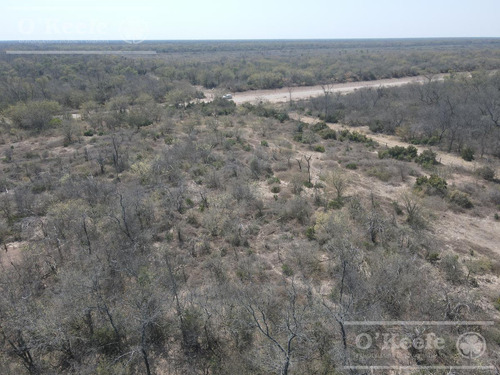 Campo En Venta 4100 Has.santiago Del Estero.apto Bonos Verde
