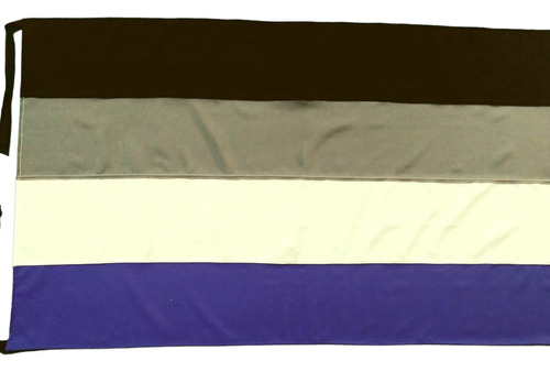 Bandera Diversidad Asexual 140 X 80cm Excelente Calidad 