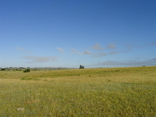 Campo En Venta En Garzón Rural