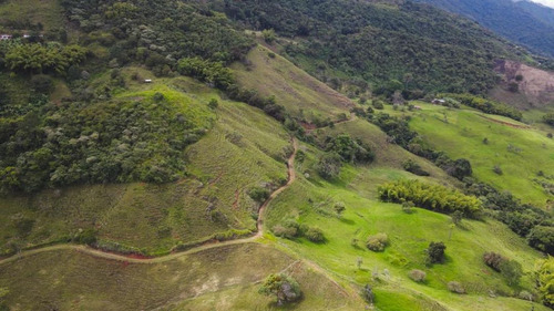 La Buitrera Lote Terreno Para Parcelar En Venta Palmira Valle Colombia